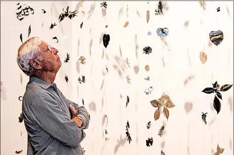  ?? Arkansas Democrat-Gazette/CARY JENKINS ?? Bob McKuin takes in the installati­on work Fall at the Arkansas Arts Center. The large scale botanical art installati­on of stainless-steel cutouts by Carlyle Wolfe of Oxford, Miss., won a Delta Award at “The 59th Annual Delta Exhibition.” The exhibit...