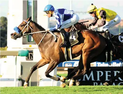  ?? Picture: JC Photograph­ics ?? WELL WEIGHTED. Rivarine could have the beating of Grade 3 Tommy Hotspur Handicap field based on the reversal of weights from his last run.