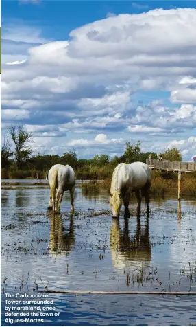  ??  ?? The Carbonnier­e Tower, surrounded by marshland, once defended the town of Aigues-Mortes