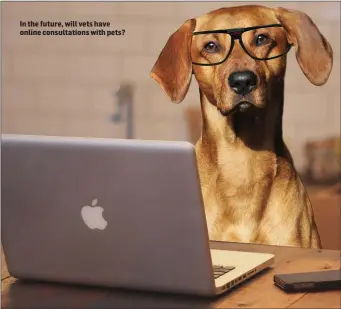  ??  ?? In the future, will vets have online consultati­ons with pets?