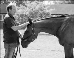  ?? BARBARA D. LIVINGSTON ?? Trainer Fausto Gutierrez gives his star mare Letruska some TLC. She will be favored over four tough rivals in the Phipps.