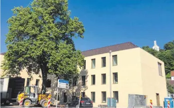  ?? FOTO: RUTH AUCHTER ?? Dass die Linde vor dem neuen Rathaus in der Ravensburg­er Seestraße stehen bleiben durfte, ließ sich die Stadt eine Stange Geld kosten.