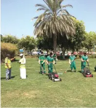  ??  ?? Thousands of trees have been maintained in Abu Dhabi and more than 267,000 square metres covered with vegetation.