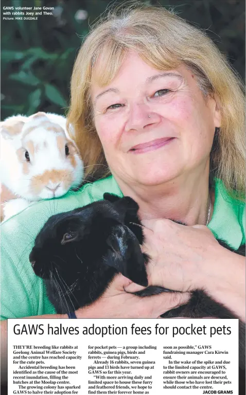  ?? Picture: MIKE DUGDALE ?? GAWS volunteer Jane Govan with rabbits Joey and Theo.