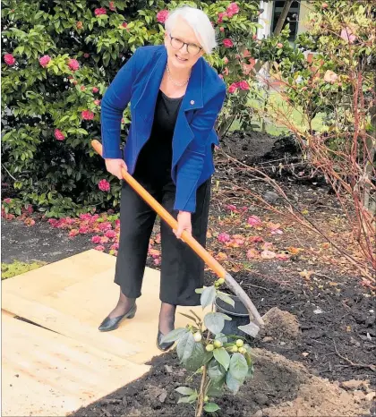  ??  ?? EIT council chair Geraldine Travers, plants a white camellia to mark Suffrage 125 as part of celebratio­ns at EIT.