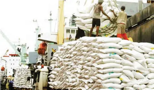  ??  ?? Workers unload 42,494 tonnes of Thai rice at the Tanjung Priok harbour in Jakarta January 25, 2011. Indonesia’s state procuremen­t agency Bulog is looking for at least 170,000 tonnes of Thai rice for delivery from January to March, a trader said early this month. The government has allowed Bulog to import rice this year to shore up falling stocks. REUTERS/Crack Palinggi (INDONESIA - Tags: BUSINESS FOOD)