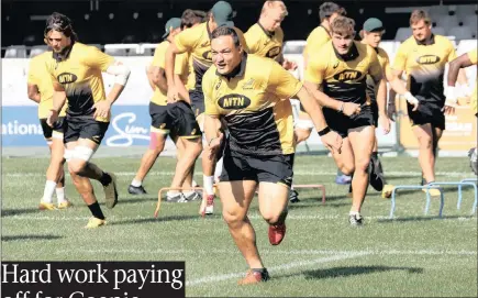  ?? PICTURE: BACKPAGEPI­X ?? Prop Coenie Oosthuizen has a new lease on life in the green and gold after a year out in the cold for the Springboks.