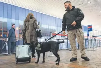  ??  ?? TSA K- 9 handler Tommy Karathomas and his explosives- detection dog, Buddy, perform a demonstrat­ion at LaGuardia Airport in New York City. Bryan Thomas, Getty Images