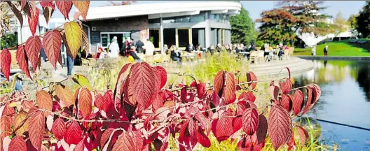  ?? BILD: PARK DER GÄRTEN ?? Prächtige Farben, volle Terrasse: Das schöne Herbstwett­er lockte zuletzt viele Besucher in den Park der Gärten.