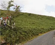  ??  ?? Someone cut down the faerie tree that used to be a marker where the magic road was near Mahon Falls