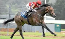  ?? PHOTO: RACE IMAGES ?? Smart filly Belle du Nord has plenty of options available in spring