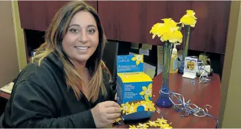  ?? MICHELLE ALLENBERG/POSTMEDIA NETWORK ?? Michelle Begin, fundraisin­g organizer for Niagara Cancer Society, gets ready for Daffodil Month at the office.