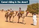  ?? ?? Camel riding in the desert