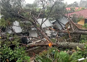  ??  ?? A north Auckand house was badly damaged when a tree fell on it during yesterday’s storm.