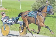  ?? JASON SIMMONDS/JOURNAL PIONEER ?? Walter Cheverie drives Hot Deuce to a 1:52.1 win in the first of two $5,000 Governor’s Plate eliminatio­ns at Red Shores at Summerside Raceway on Sunday afternoon.
