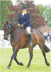  ??  ?? Polly rides Bloomfield Valhalla to land the hunter title at the 2019 Hickstead Derby