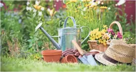  ?? GETTY IMAGES ?? From vegetables to herbs, flowers to shrubbery, it's just about time to get into the yard and start planting. There are resources to help you pick put plants and tell you how to nurture them.