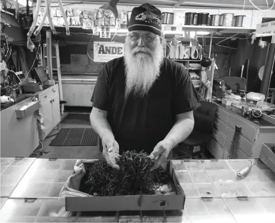  ??  ?? Ted Lemelin of Ted’s Bait &amp; Tackle with a flat of sandworms, the author’s favorite bait, especially when he’s after flounder.