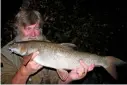  ??  ?? Monday, and a good 10lb 12oz barbel for yours truly.