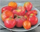  ??  ?? Tomato was once considered an aphrodisia­c.