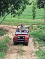  ??  ?? LINKS: Nuwe makadamiab­oorde op Selde-so.
BO: Dr. Hendrik Alberts neem vir mnr. Koos Vosloo van die Green Farms Nut Company in die boerdery se rooi Land Rover rond. Hier ry hulle deur een van die stroke inheemse bos wat op die plaas bewaar word.