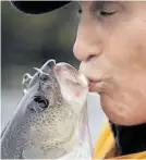  ??  ?? Poljubac prvoulovlj­enoj ribi za ribičku sreću