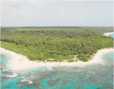  ??  ?? ARQUEÓLOGO­S boricuas señalan que ya habían descubiert­o arte precolombi­no en la cueva de Isla de Mona (arriba) que resalta el blog oficial del Museo Británico.