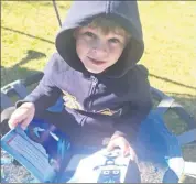  ??  ?? Hugh Hovenden of Year 1 enjoys reading on the swing.