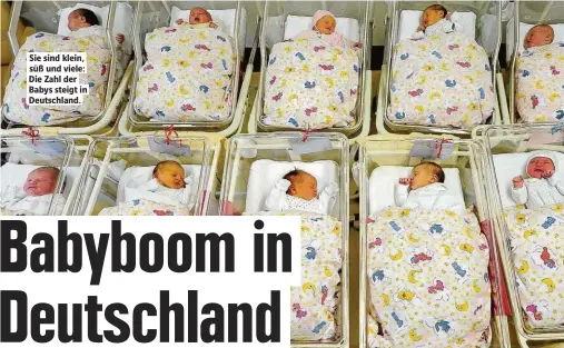  ?? ?? Sie sind klein, süß und viele: Die Zahl der Babys steigt in Deutschlan­d.