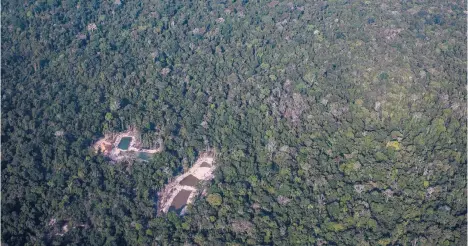  ?? VICTOR MORIYAMA/THE NEW YORK TIMES 2020 ?? An aerial view of an illegal gold mine in the rainforest in Brazil’s Pará state. A pilot working for wildcat miners escaped death when his plane crashed, and he walked through the jungle for 36 days.