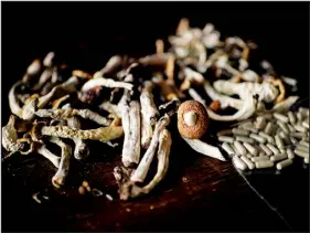  ?? HYOUNG CHANG — THE DENVER POST ?? The curriculum addresses the effects of ingesting psilocybin.