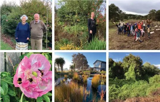  ??  ?? CLOCKWISE FROM TOP LEFT The first formal meeting of the Tūrangi Garden Club was at the home of Rosie and Neil Small; Frances Martin was one of 15 people at the club’s inaugural meeting; Club members have taken an active part in restoring a reserve near the town; The restored reserve looked like this before the club started work; Members take pride in their gardens. This is the Motuoapa garden of John Mac and Zane Cozens; Tūrangi Garden Club member and keen photograph­er Paulane Mclean took this shot of bumblebees on a poppy in her garden.