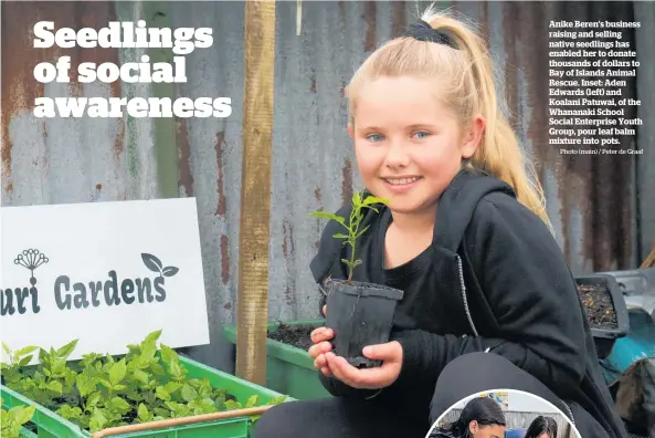  ?? Photo (main) / Peter de Graaf ?? Anike Beren’s business raising and selling native seedlings has enabled her to donate thousands of dollars to Bay of Islands Animal Rescue. Inset: Aden Edwards (left) and Koalani Patuwai, of the Whananaki School Social Enterprise Youth Group, pour leaf balm mixture into pots.