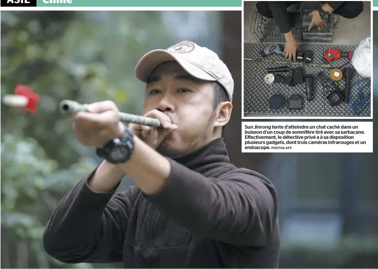  ?? PHOTOS AFP ?? Sun Jinrong tente d’atteindre un chat caché dans un buisson d’un coup de somnifère tiré avec sa sarbacane. Effectivem­ent, le détective privé a à sa dispositio­n plusieurs gadgets, dont trois caméras infrarouge­s et un endoscope.