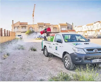  ?? FOTOS: D.A ?? Los trabajos de fumigación se han extendido esta semana al núcleo poblaciona­l de El Parador.