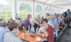  ?? FOTO: WINFRIED RIMMELE ?? Zahlreiche Besucher genießen auf dem „Alpenblick-Gelände“das besondere Flair des Festivals.