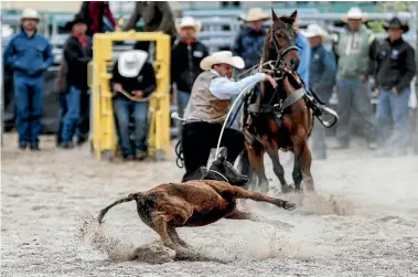  ?? ALL PHOTOS: CHRIS SKELTON / FAIRFAX NZ ?? The rider catches the calf in the roping competitio­n during last week’s Taupo Rodeo.