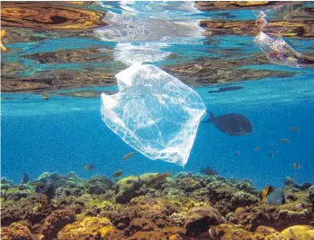  ?? FOTO: DPA ?? Zerstörte Idylle: Eine Plastiktüt­e treibt über Korallen im Roten Meer in Ägypten.