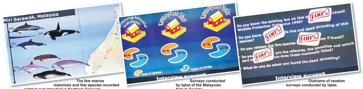 ??  ?? The few marine mammals and few species recorded sighted and stranded in Northern Sarawak.
Surveys conducted by Iqbal of the Malaysian Nature Society. Outcome of random surveys conducted by Iqbal.