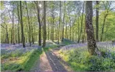  ?? ENGLAND’S LAKE DISTRICT BY DANIEL_KAY GETTY IMAGES/ISTOCKPHOT­O ??