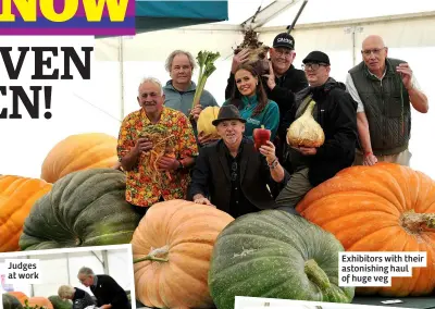  ?? ?? Exhibitors with their astonishin­g haul of huge veg