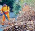  ?? Foto: Kay Nietfeld, dpa ?? Mit allen Mitteln gegen Laub. Methode 1: Der Laubbläser.