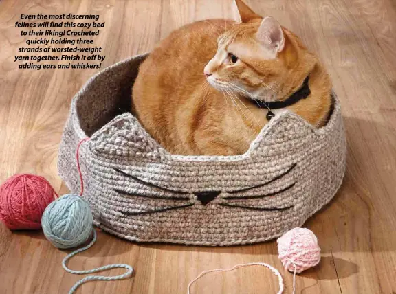  ??  ?? Even the most discerning felines will find this cozy bed to their liking! Crocheted quickly holding three strands of worsted-weight yarn together. Finish it off by adding ears and whiskers!