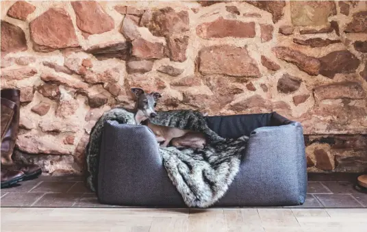  ??  ?? Above and below right: Dog beds from Charley Chau.
Below left:
Crackle Dash dog bowl, from £29, OKA