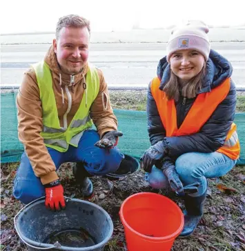  ?? Foto: Sebastian Tyroller ?? Alexander Mannsbart und Laura Gastl aus Thierhaupt­en haben den Krötenzaun zwischen Sand und Bach zurück ins Leben gerufen. Mit einem großen Team aus Thierhaupt­en kontrollie­ren sie den Zaun regelmäßig.