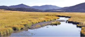  ?? ASSOCIATED PRESS FILE PHOTO ?? The East Fork of the Jemez River in 2010 as it cuts through Valles Caldera National Preserve. Undergroun­d pockets of boiling water and steam that could have been tapped to produce electricit­y are now off limits as Santa Fe National Forest has said no to the prospect of geothermal developmen­t.