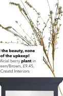  ??  ?? All the beauty, none of the upkeep! Artificial berry plant in Green/brown, £9.45, Creatd Interiors