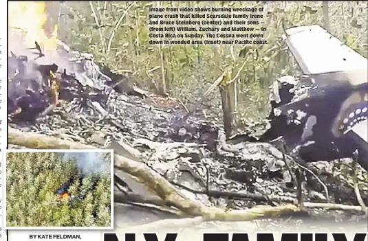  ??  ?? Image from video shows burning wreckage of plane crash that killed Scarsdale family Irene and Bruce Steinberg (center) and their sons — (from left) William, Zachary and Matthew — in Costa Rica on Sunday. The Cessna went down down in wooded area (inset)...