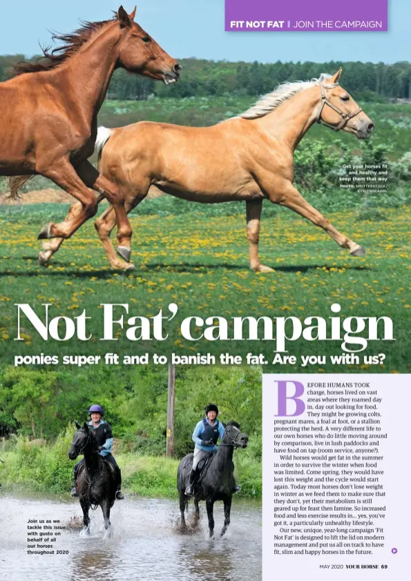  ?? PHOTO: SHUTTERSTO­CK/ KYSLYNSKAH­AL ?? Join us as we tackle this issue with gusto on behalf of all our horses throughout 2020
Get your horses fit and healthy and keep them that way