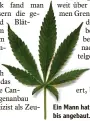  ?? Foto: dpa ?? Ein Mann hat in seiner Wohnung Cannabis angebaut.